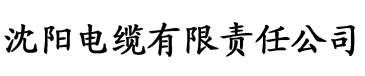 中文字幕亚洲综合小综合在线电缆厂logo